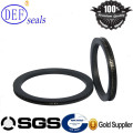 Pièces d&#39;autocollants PTFE Mechanical Stainless Steel Spring Energized Seals